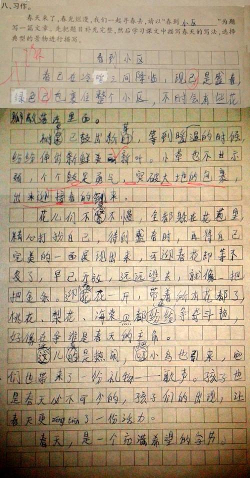 母亲的故事作文