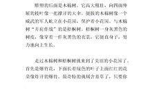 描写校园一角的作文