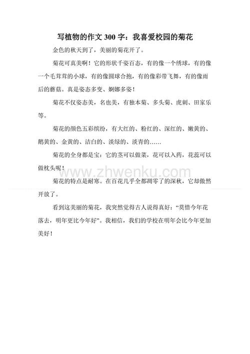 菊花组成100字