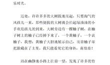 校园的一角作文300字