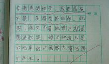 说说我自己作文500字