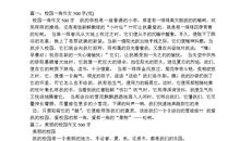 校园一角操场作文