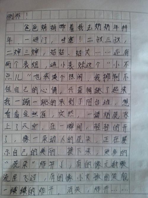 元旦作文