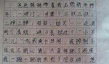 元旦见闻作文