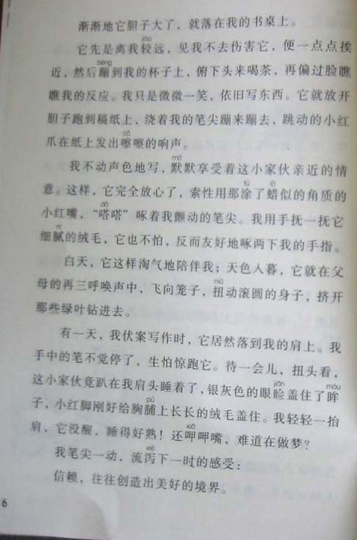 写鸟组成