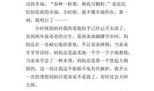 那一刻我明白了幸福作文