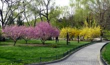 初中作文春天的校园