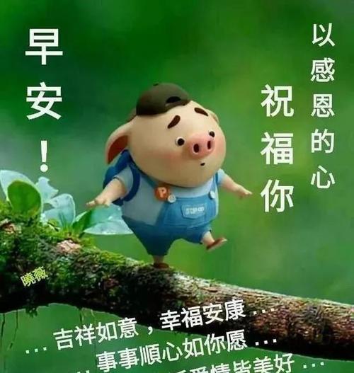 问候