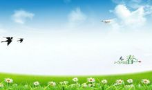 我爱春天的校园