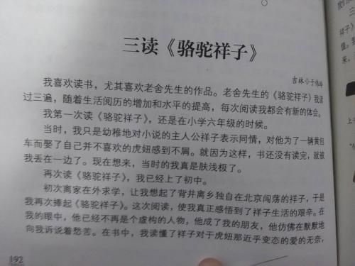 读过祥子骆驼250