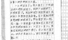 长大后的我作文400字
