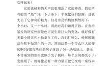 第一场雪作文500字