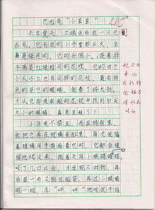 我最喜欢的老师100字作文
