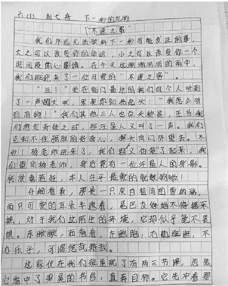 前半命题组成