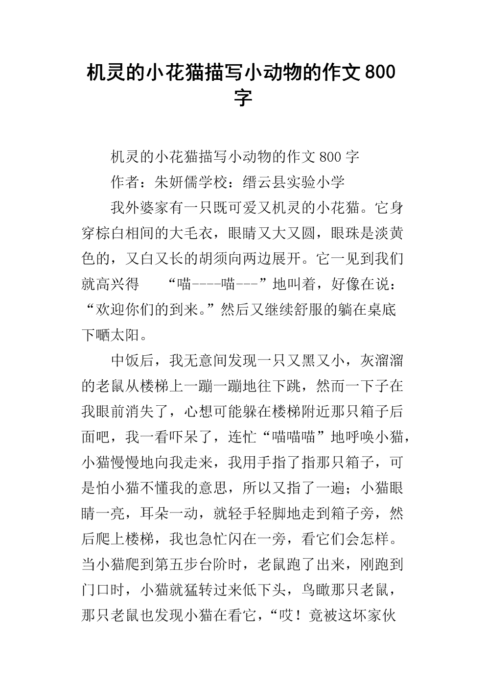 600字写猫作文