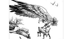 与狼相处的日子读后感