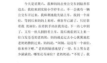 一粒种子作文600字