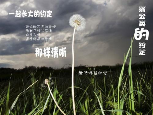 丛林守护者