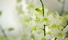 善待苦难读后感