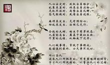 读道德经的读后感