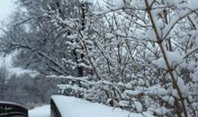 冬天的雪作文600字