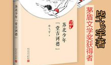 苏北少年堂吉诃德读后感