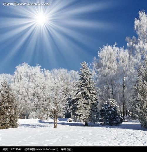 冬季雪景构成600
