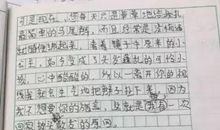 妈妈笑了作文