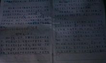 假如我有一匹马作文500字