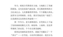 打雪仗作文450字