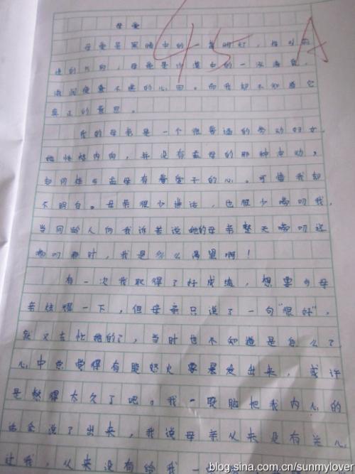关于母爱的小学生作文
