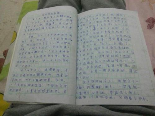 写猫作文400字