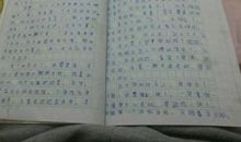 写小猫的作文400字