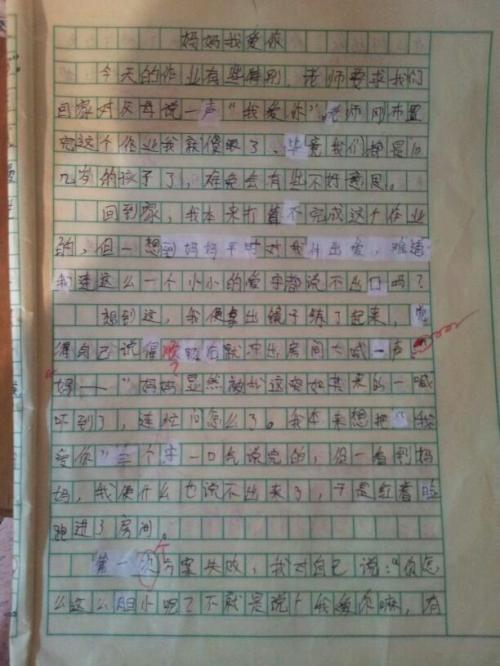 自己的组成
