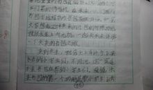 畅想未来的作文