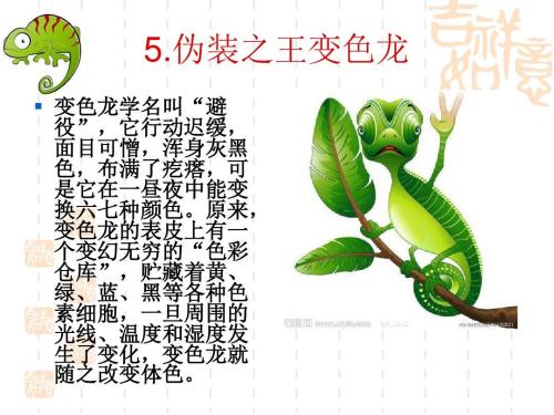 仿生学组成400字
