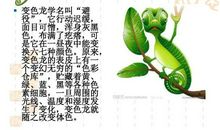 仿生学作文400字