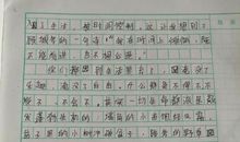 我心中的她作文