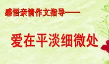 感受亲情初中作文