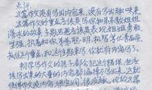 描写我的弟弟的作文