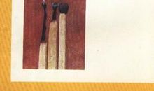 温柔的夜读后感