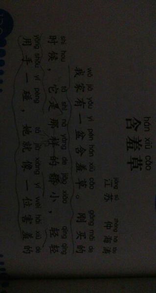 含羞草作文600字