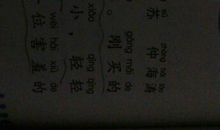 含羞草作文500字