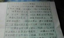 我的暑假作文600字