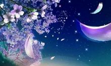 我终究会关上我的心，不再想你