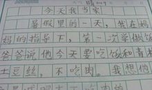 自己做饭作文