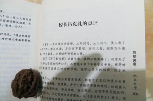 阅读后的理想足迹