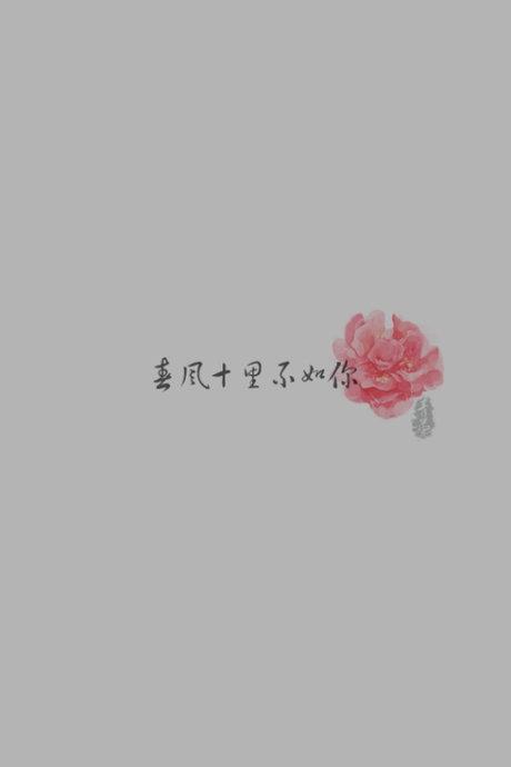 小姐我想念