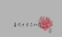 Miss,是想念,也是错过