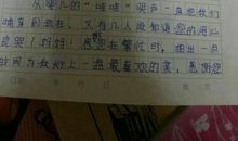 父母的爱的作文